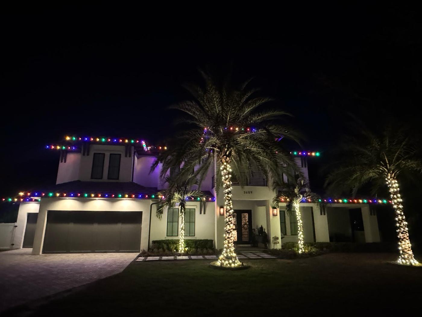 Multicolor roofline with warm white wrapped trees